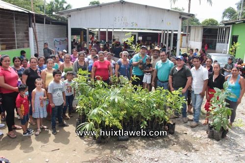 Se lleva a cabo entrega de árboles frutales y ornato en Villa Comaltitlán